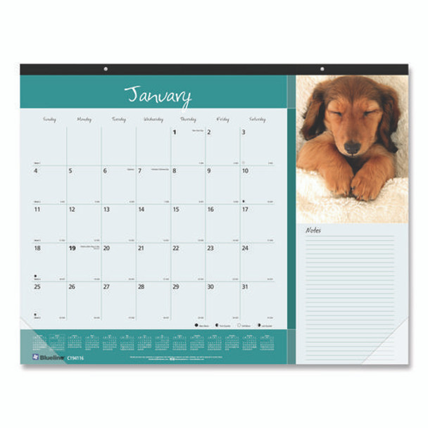 Pets Collection Monthly Desk Pad, Puppies Photography, 22 x 17, Black Binding, Clear Corners, 12-Month (Jan to Dec): 2025