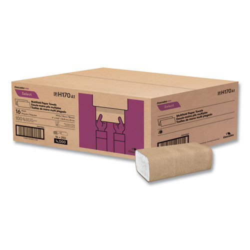 Select Folded Paper Towels, Multifold, 1-Ply, 9.13 x 9.5, White, 250/Pack, 16 Packs/Carton