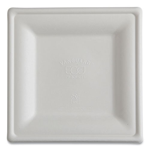 Vanguard Renewable and Compostable Sugarcane Plates, 10 x 10, White, 250/Carton