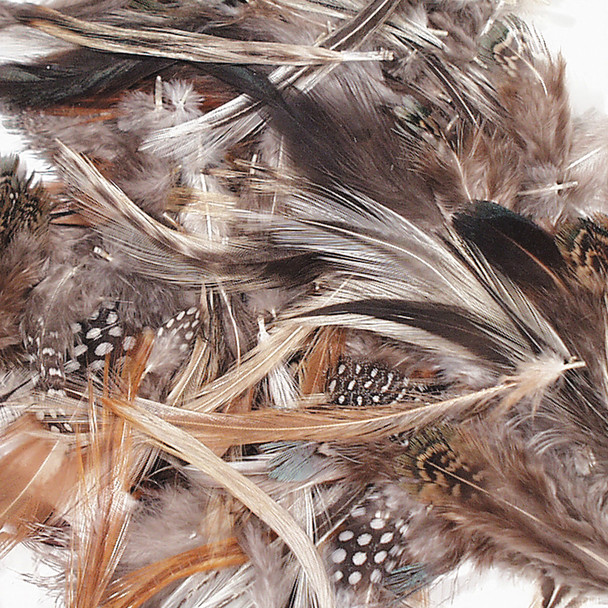 Natural Feathers, Natural Assorted Colors, Assorted Sizes, 1/2 oz. - PACAC4514