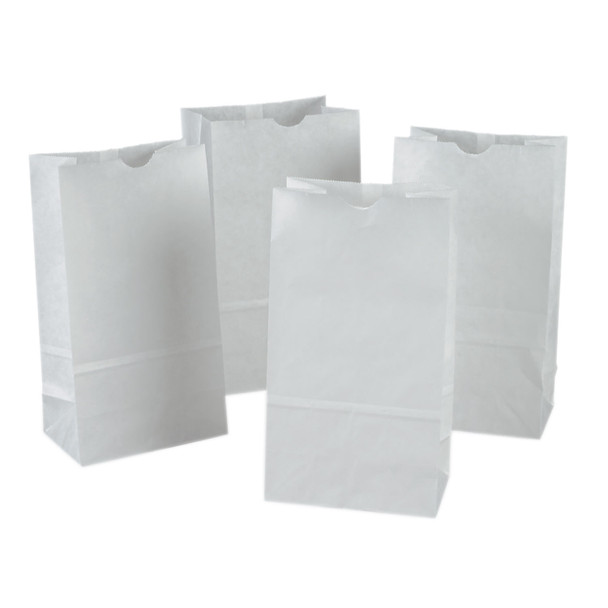 Kraft Bag, White, 6" x 3-5/8" x 11", 50 Bags