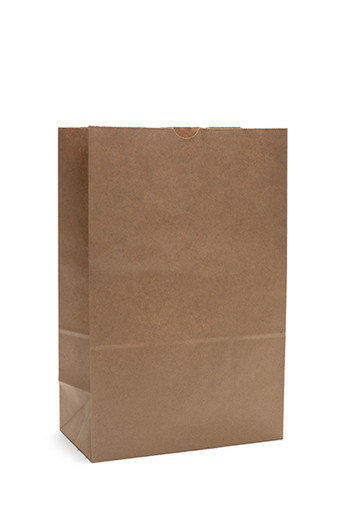 Stock Unprinted Brown Kraft Paper Rx Bag