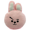 Cooky - BTS BT21 14" Plush Pillow