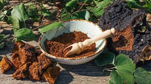 Chaga Chaga