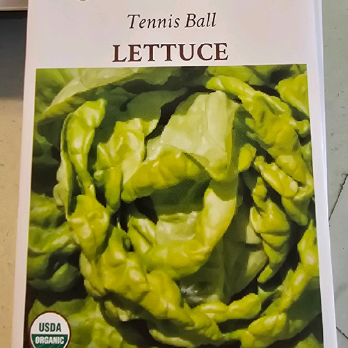 Tennis Ball Lettuce Seeds Tennis Ball Lettuce Seeds