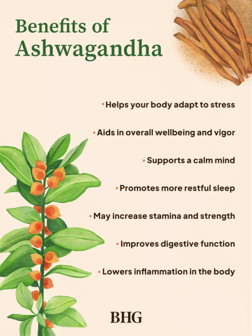 Ashwagandha Root Ashwagandha Root