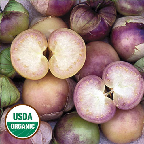 Tomatillo, Purple de Milpa (Organic) seeds Tomatillo, Purple de Milpa (Organic) seeds