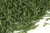 dill weed