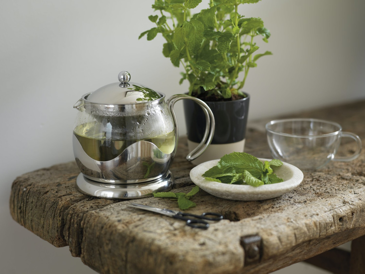 La Cafetière Izmir Glass Tea Infuser, 2-Cup, Stainless Steel - Lifetime ...