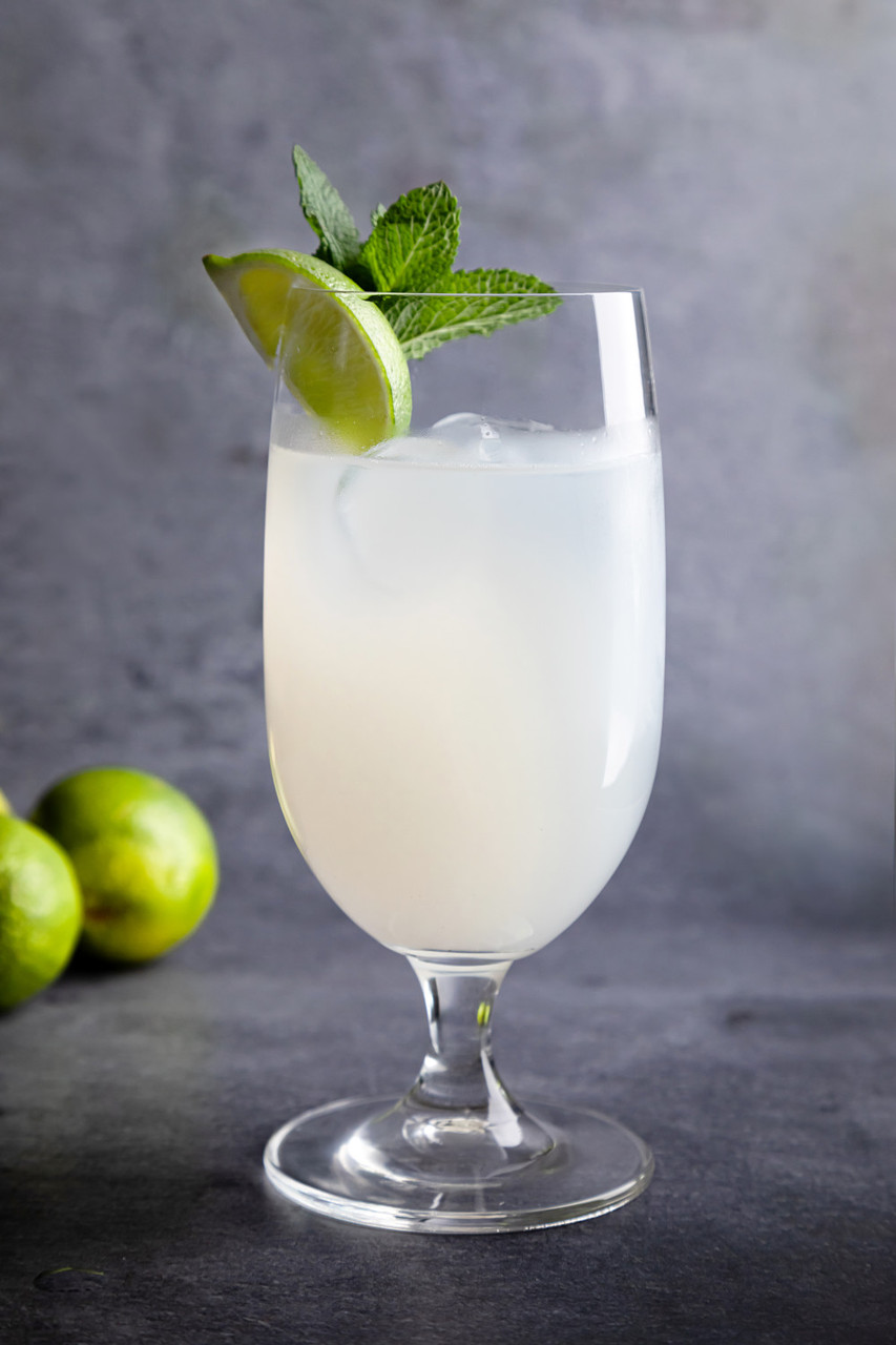 Mikasa Hospitality Hops Iced Beverage Glass, 390 ml Lifetime Brands