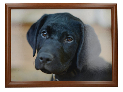 Creative Tops Labrador Laptray