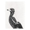 Maxwell & Williams Marini Ferlazzo Australian Magpie Tea Towel