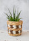 KitchenCraft Water Hyacinth Planter with Chevron Design