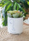 KitchenCraft Mini Planter with Abstract Face Design