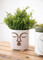 KitchenCraft Mini Planter with Terracotta Face Design