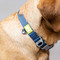 BUILT PET NightSafe™️ Reflective Collar, Medium, Blue