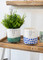 KitchenCraft Ceramic Plant Pot with Happy Face Design, White / Blue