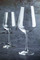 Mikasa Hospitality Vine Red Wine Glass, 500 ml