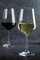 Mikasa Hospitality Vine White Wine Glass, 300 ml
