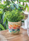 KitchenCraft Seagrass Planter with Rainbow Stripe Design