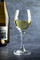 Mikasa Hospitality Hops White Wine Glass, 250 ml