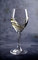 Mikasa Hospitality Hops White Wine Glass, 250 ml