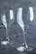 Mikasa Hospitality Hops White Wine Glass, 250 ml