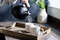 Mikasa Cranborne 4-Piece Stoneware Mug Set, 320ml, Cream