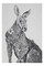 Maxwell & Williams Marini Ferlazzo Kangaroo Tea Towel