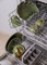 Mikasa Jardin Stoneware 4-Piece Side Plate Set, 21.5cm, Green