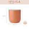 KitchenCraft Idilica Kitchen Canister with Beechwood Lid, 12 x 12cm, Terracotta