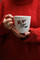 Mikasa TipperleyHill Robin Fine China Mug and Coaster Set, 380ml