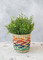 KitchenCraft Set of 2 Seagrass Planters with Rainbow Stripe Design