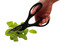 KitchenCraft 21cm Multi-Purpose Scissors