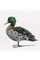 Maxwell & Williams Marini Ferlazzo Chestnut Teal Duck Tea Towel