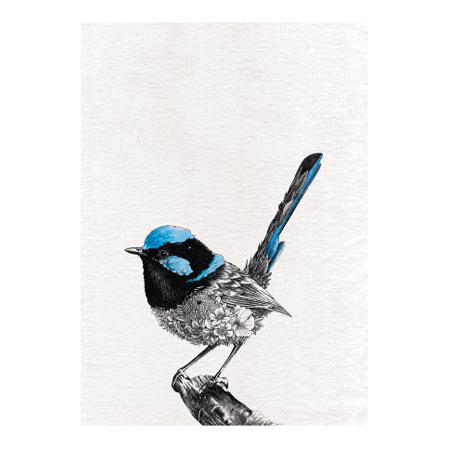Maxwell & Williams Marini Ferlazzo Superb Fairy-wren Tea Towel