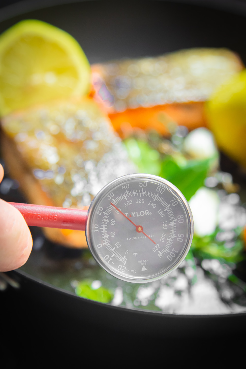 Taylor Instant-Read Food Thermometer Probe, Stainless Steel, 14cm Taylor Instant-Read Food Thermometer Probe, Stainless Steel, 14cm