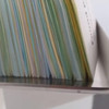 Cyklos 450 Paper Jogger