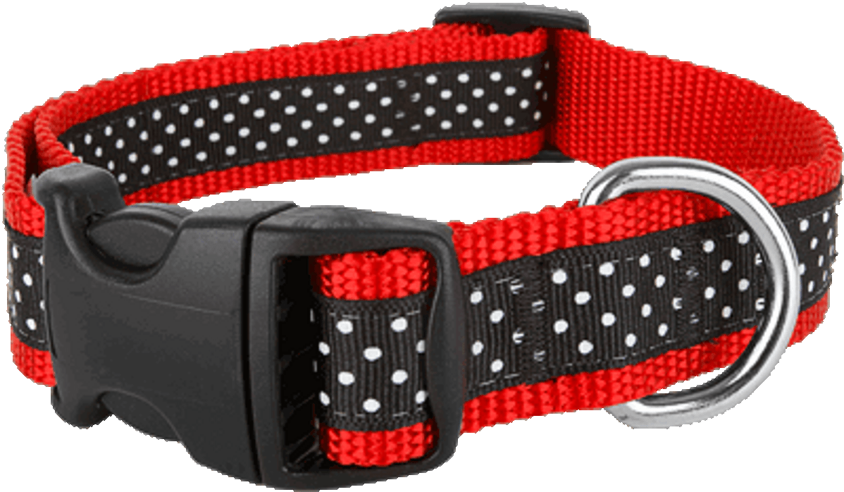 Pembroke Polka Dot Dog Collar-Black/Red