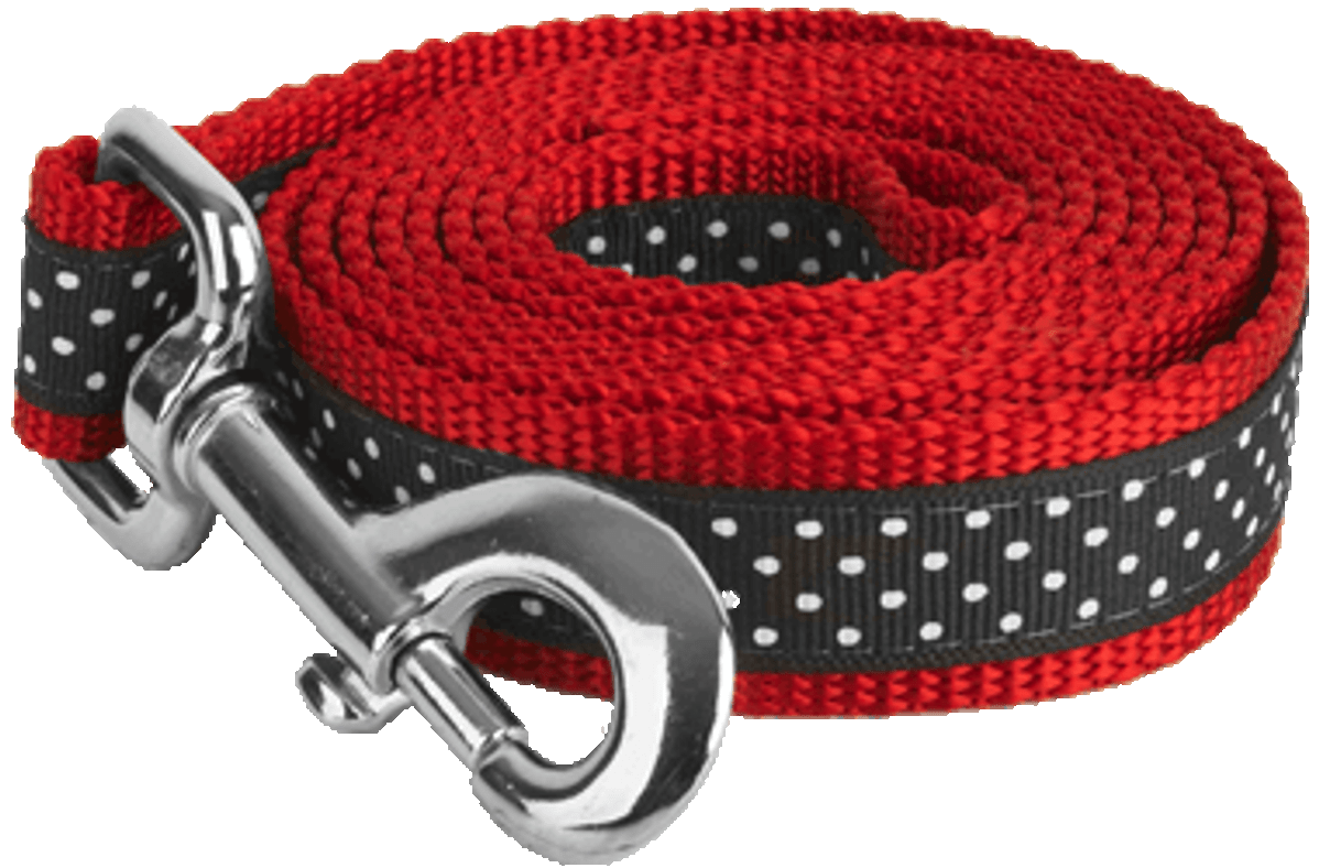 Pembroke Polka Dot Dog Leash-Black/Red