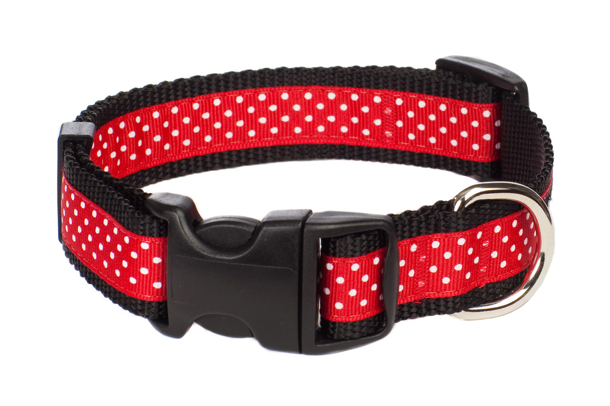 Pink polka dot dog clearance collar