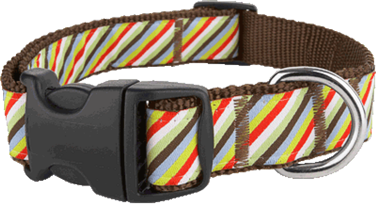 Bark Alley Collection - Side Walk Stripe Collar