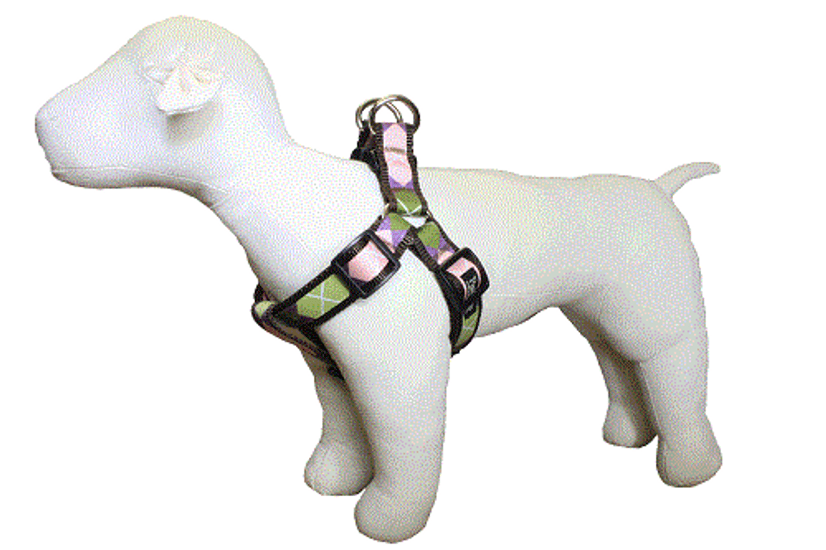 Sweet Pea Dog Harness - Pink Argyle on Brown