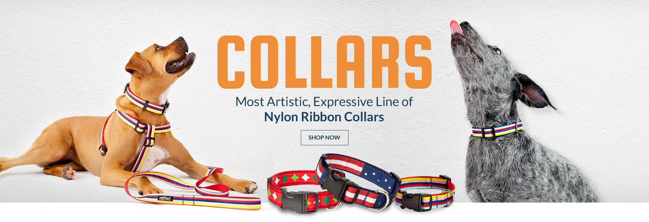 shop for dog collars