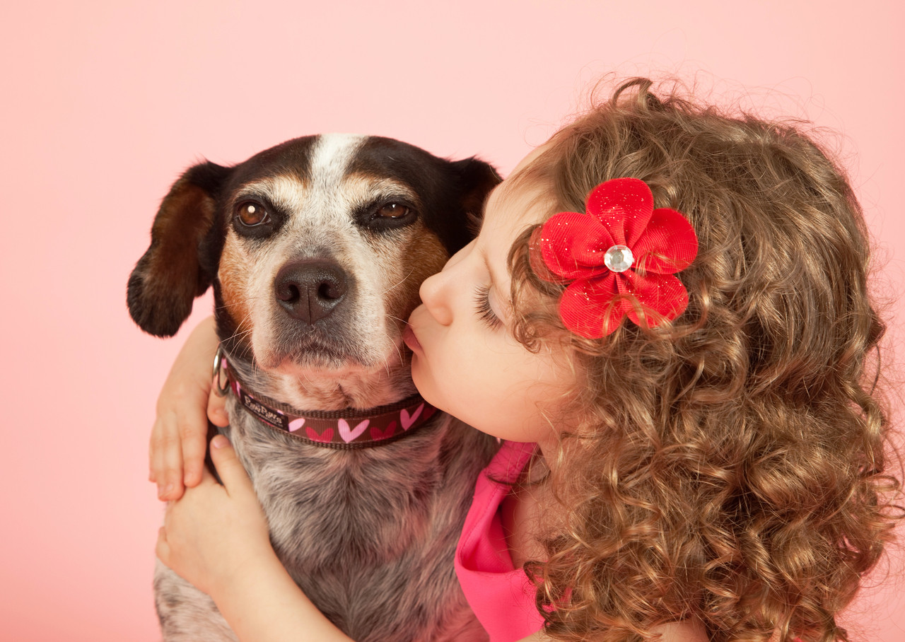 Love Hearts Dog Collar Valentine Dog Collar Girl Dog 
