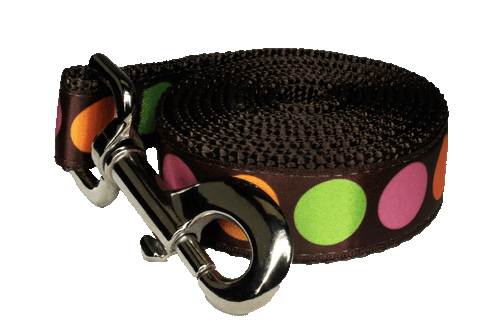 Sorbet Dog Leash-Dot