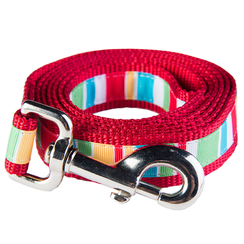 Bomb Pop Collection - Push Up Stripe Leash