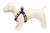 Americana Park Dog Harness-Americana Flag