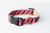 Collegiate - Clemson05 Dog Collar Tiger Rep Stripe