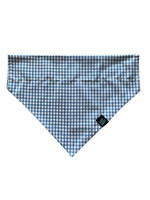 Paw Paws Blue Gingham Pattern is great for your boys!